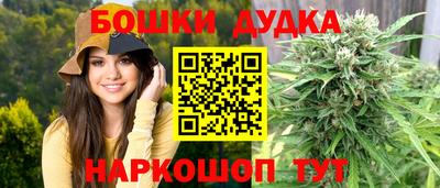 бошки Дубна