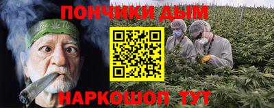 бошки Дубна