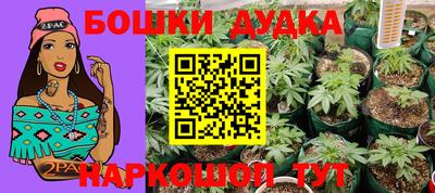 бошки Дубна