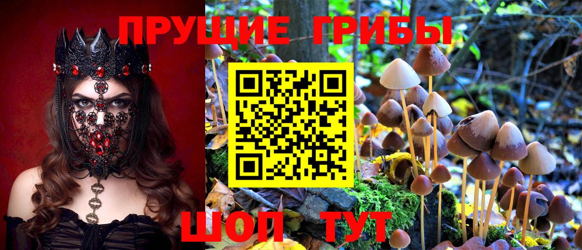 Лесозаводск  Галлюциногенные грибы GOLDEN TEACHER  Вход с VPN 